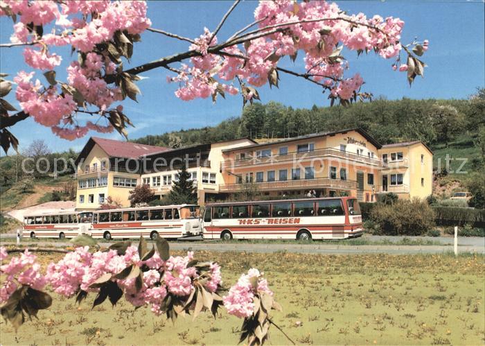 Ober-Kainsbach Gasthaus Cafe Pension Zum Hohenstein Baumbluete Busreisen