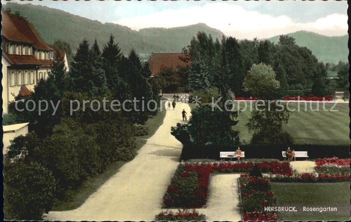 Hersbruck Bayern Rosengarten