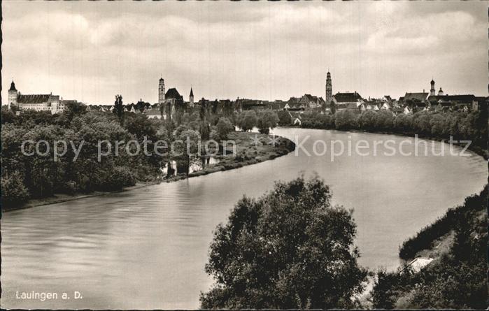 Lauingen Donau Panorama