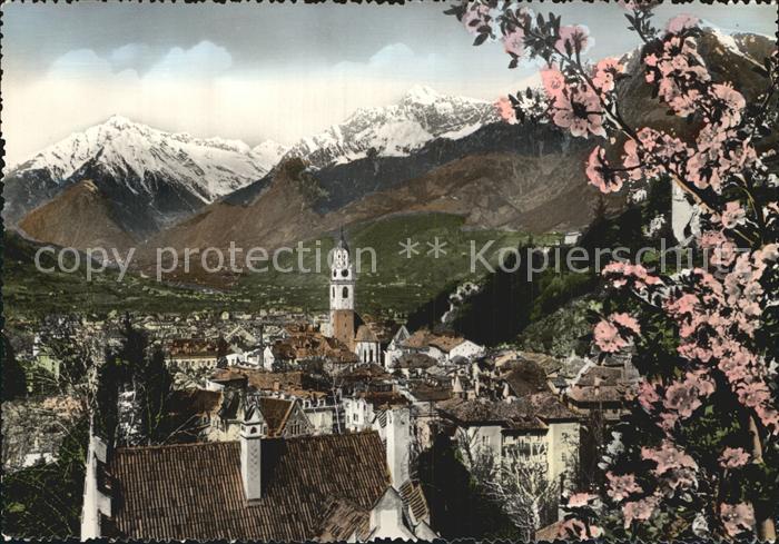 Meran Merano Panorama