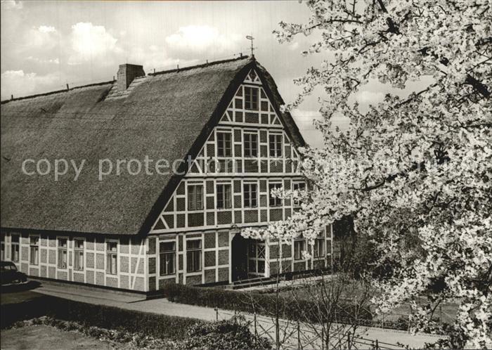 Borstel Niederelbe Bauernhaus