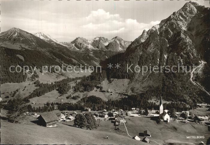 Mittelberg Kleinwalsertal Hammerspitze Schuesser Schafalpen Zwoelferkopf