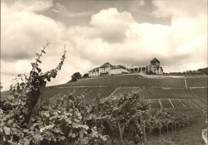 Johannisberg Rheingau Schloss Kirche