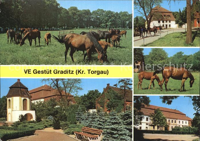 Graditz VE Gestuet