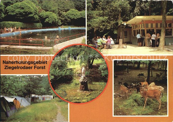 Ziegelroda Waldbad Jaegerhuette Campingplatz Heimat Tierpark Klapperborn Uhu