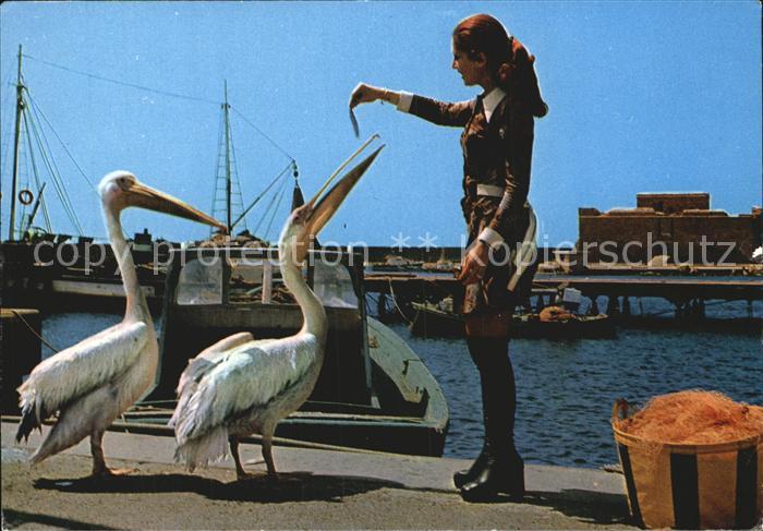 Paphos Pelikane Kokos und Petros