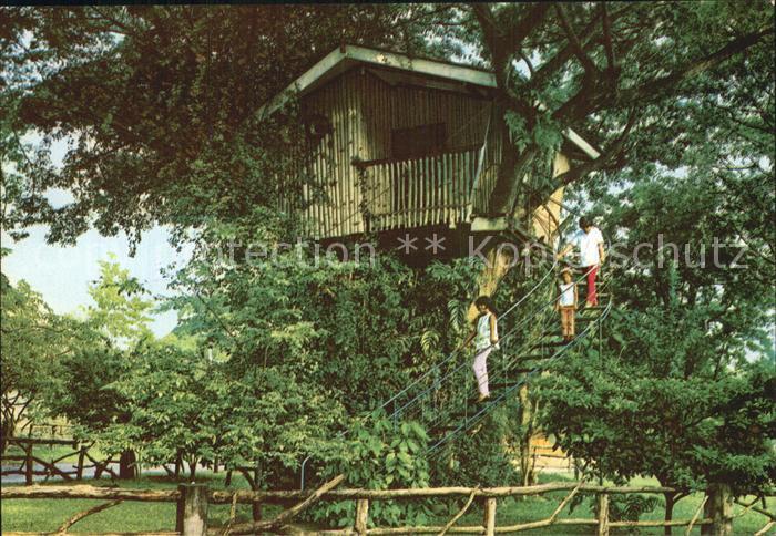 Zamboanga City Tree House