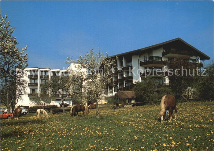 Kaelberbronn Hotel Schwanen