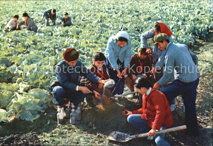 China Learning agricultural production