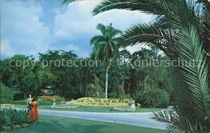 Kingston Jamaica Royal Bontanical Gardens Hope