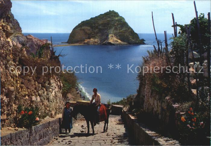 Ischia San Angelo Esel