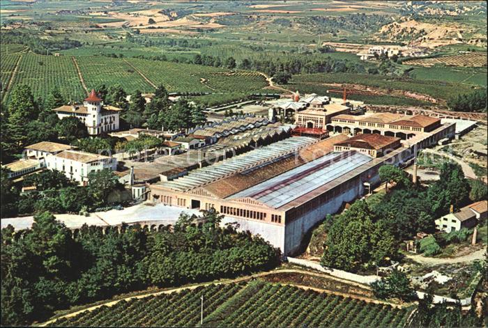 Cavas Codorniu Fliegeraufnahme