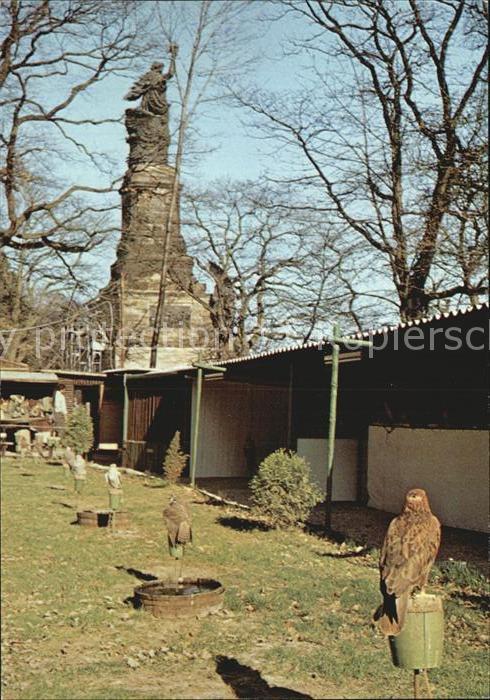 Ruedesheim Rhein Adlerwarte und Falkenhof mit Niederwalddenkmal