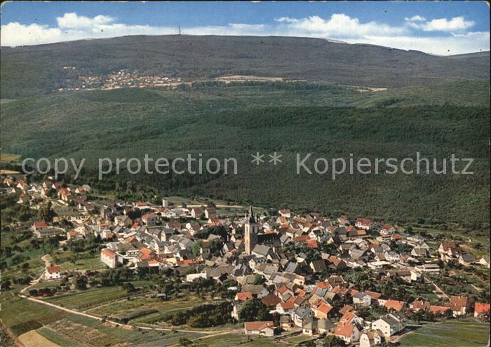 Rauenthal Fliegeraufnahme Weinort