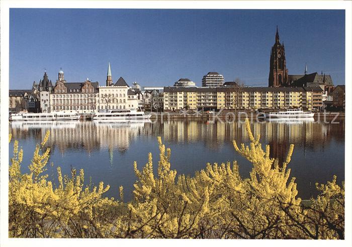 Frankfurt Main Mainpartie mit Dom im Fr?hling