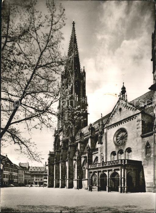 Freiburg Breisgau Muenster