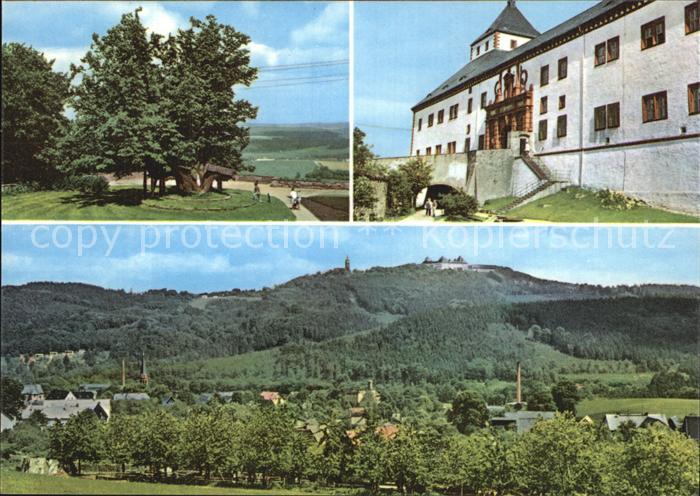 Augustusburg Schlosslinde Nordportal Schloss