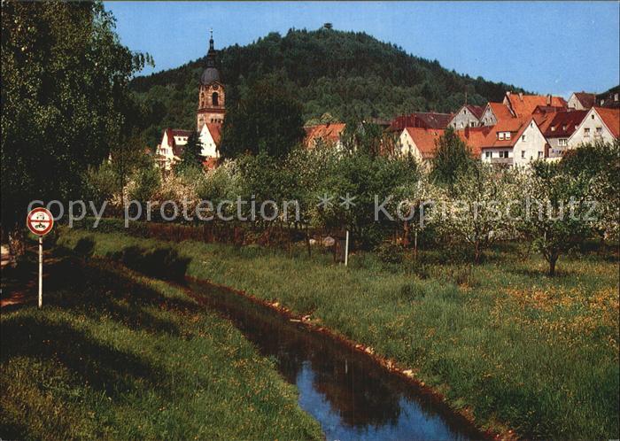 Pegnitz Schlossberg