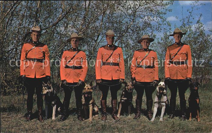 Polizei Royal Canadian Mounties in Action Hunde