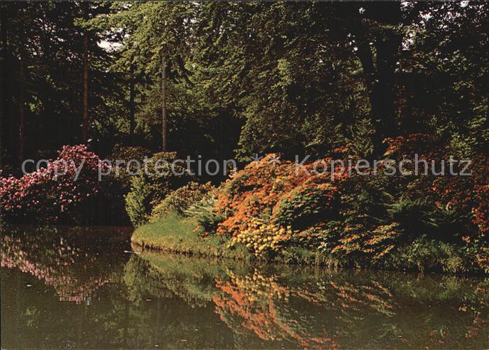 Blumen Botanischer Garten und Rhododendron-Par