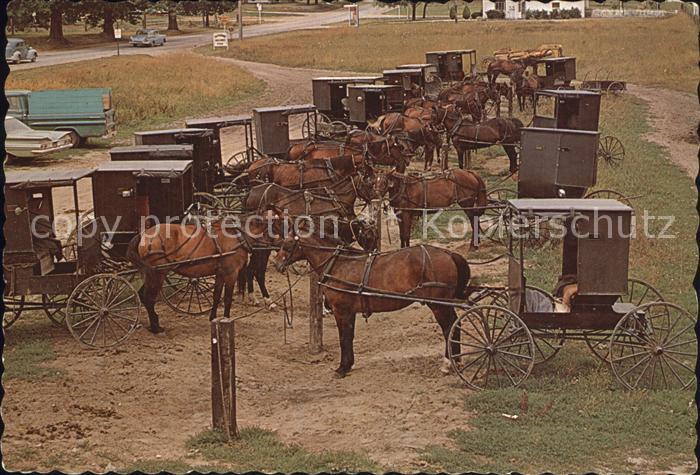 Pferdekutschen Amish Rugs Market Day