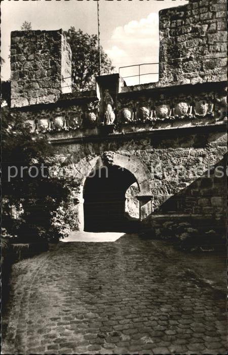 Tecklenburg Steinfurt NRW Bugtor Teutoburger Wald