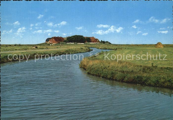 Hallig Hooge Backenswarft mit Priel