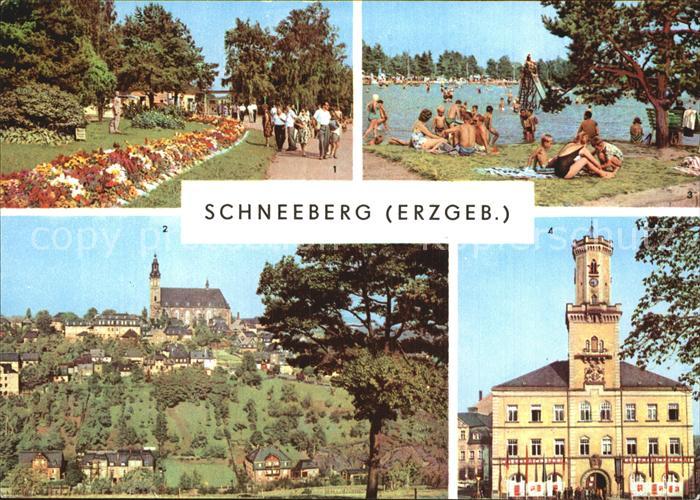 Schneeberg Erzgebirge Filzteich Kirche Rathaus