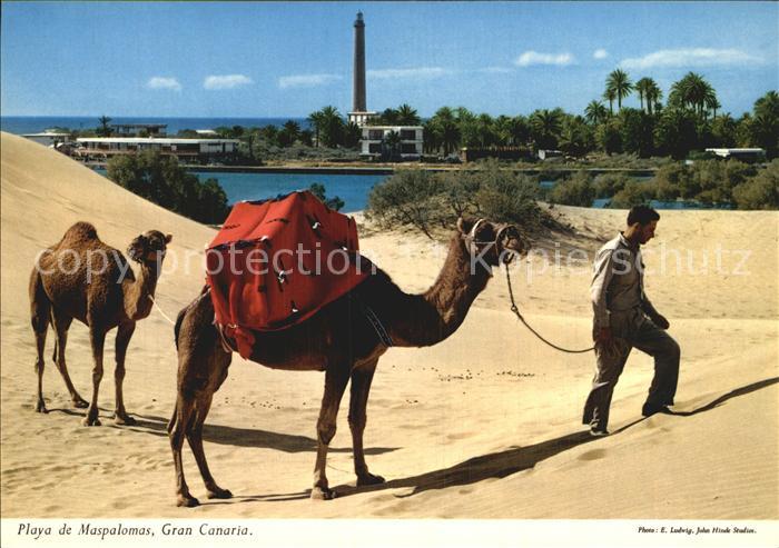 Gran Canaria Playa de Maspalomas