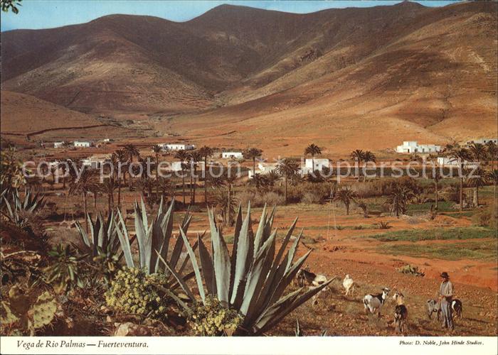 Fuerteventura Vega de Rio Palmas