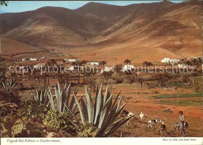 Fuerteventura Vega de Rio Palmas