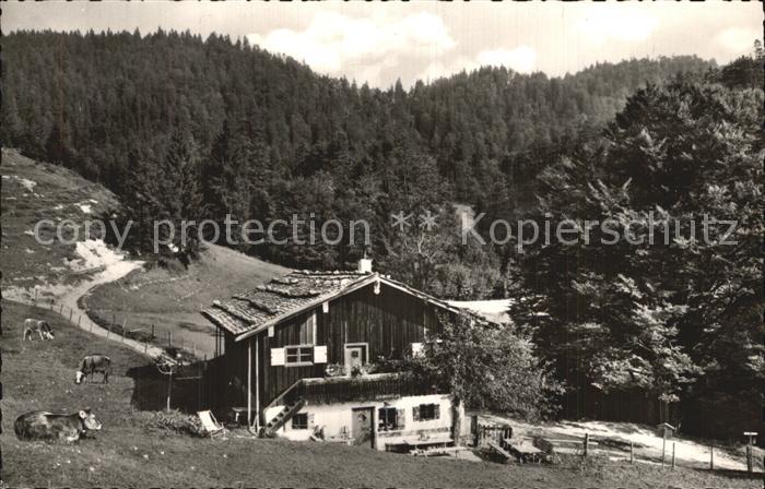 Reit Winkl Glapf Alm