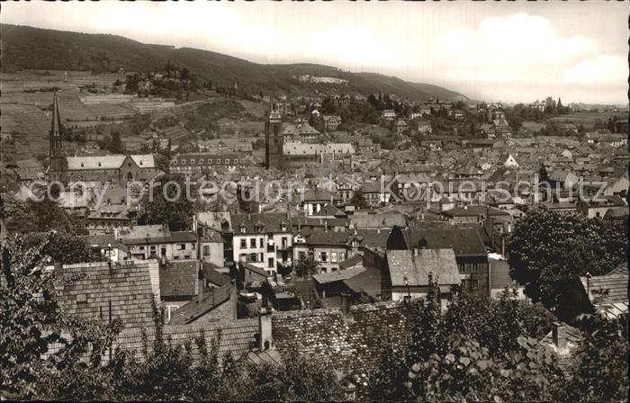 Neustadt Weinstrasse Panorama