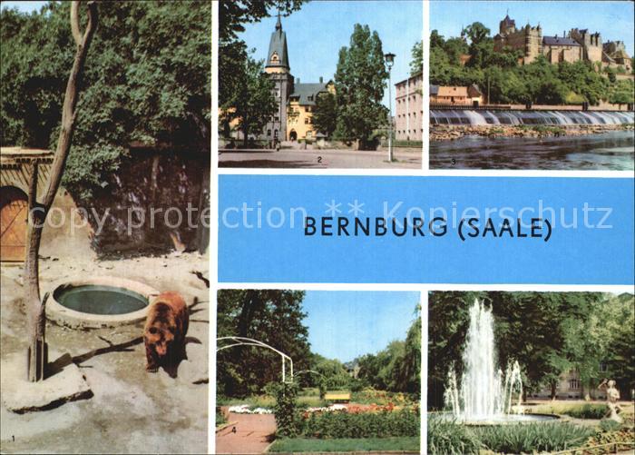 Bernburg Saale Baerenfreigehege am Schloss Kurhaus Schloss Rosengarten Marx Enge