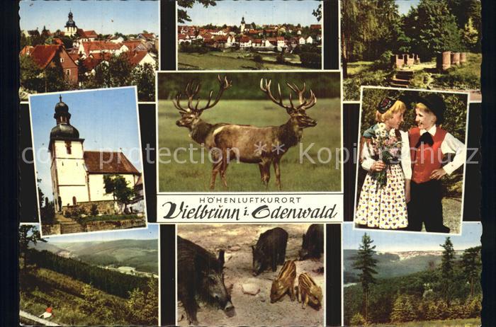 Vielbrunn Kirche Rotwild Wildschweine Trachtenkinder Teilansicht