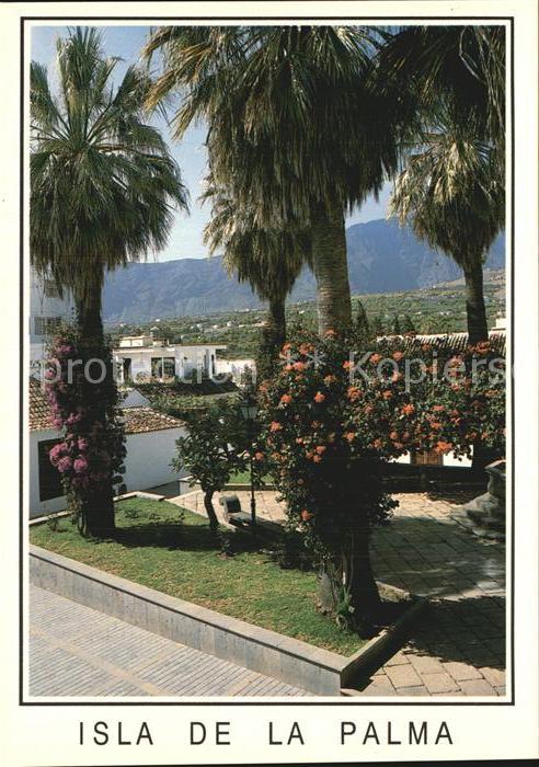 Los Llanos De Aridane Park