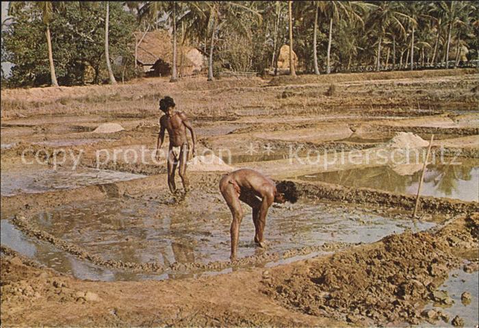 Goa Salt of the Earth