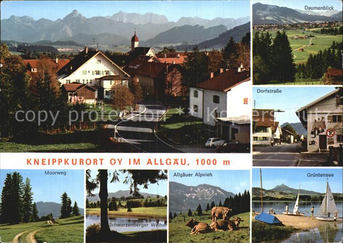 Bad Oy Dorfstrasse Gruentensee Alpvieh Moorweg