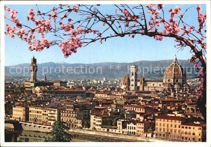 Firenze Florenz Panorama