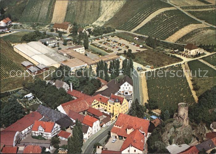 Bingen Rhein Fliegeraufnahme Burg Layen