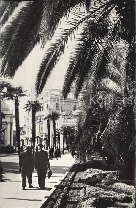 Suchumi Rustawelli Promenade