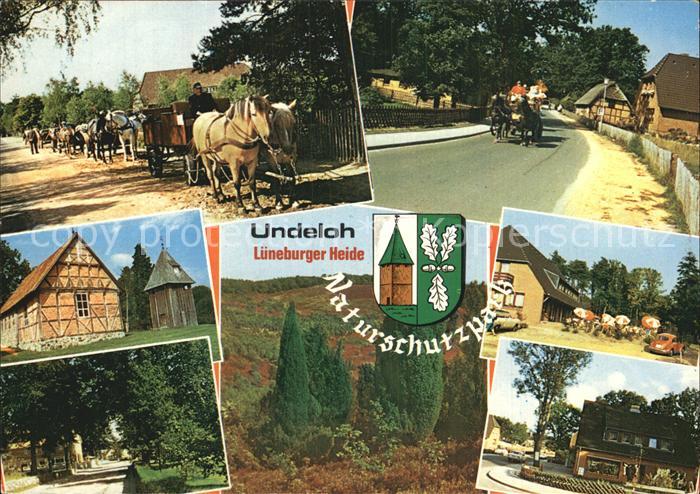 Undeloh Pferd Gebaeude