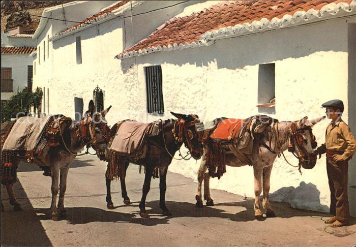 Mijas Burros-taxi
