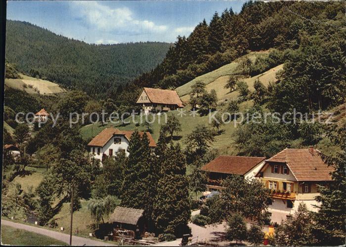 Oberharmersbach Loecherberg Haus Schwarzwald Idyll