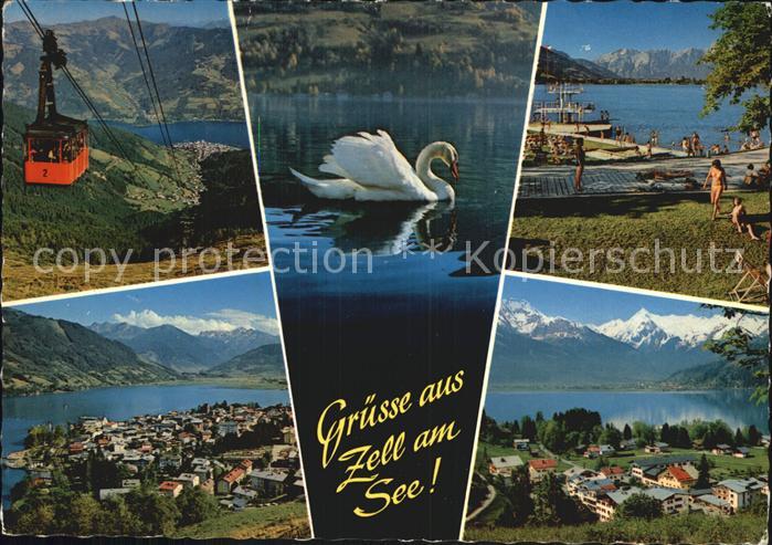 Zell See Seilbahn Strand Panoramen Schwan