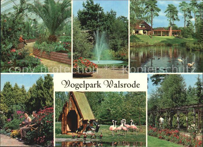 Walsrode Lueneburger Heide Vogelpark