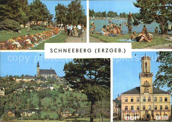 Schneeberg Erzgebirge Filzteich Kirche Rathaus