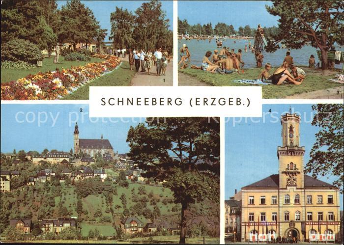 Schneeberg Erzgebirge Filzteich Kirche Rathaus