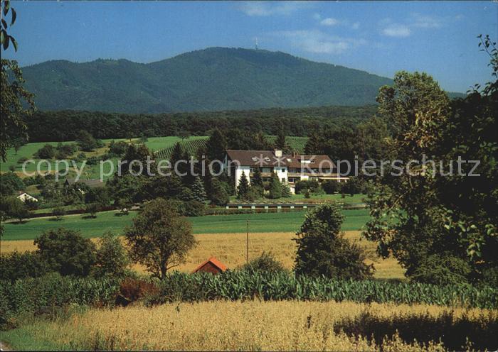 Muellheim Baden Voegisheim Panorama