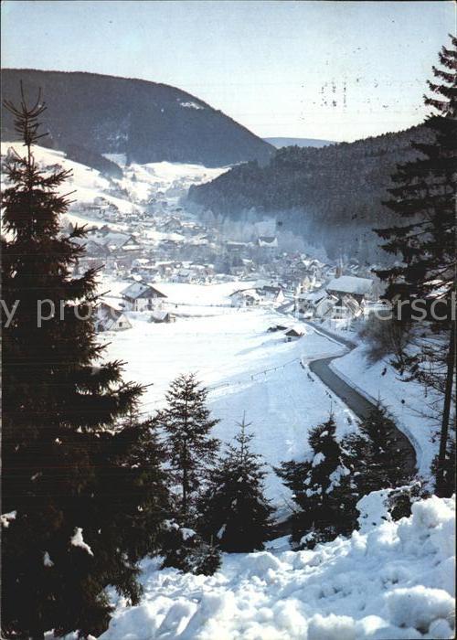 Obertal Baiersbronn Panorama